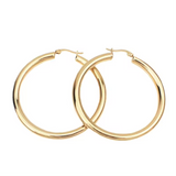 Regal Hoops- Gold and Silver